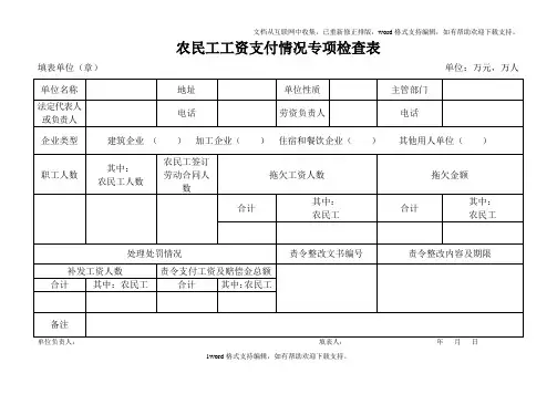 农民工工资支付情况专项检查表