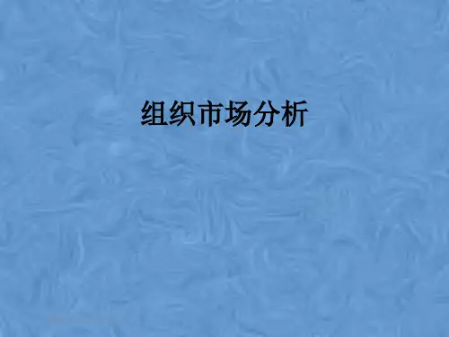 组织市场分析
