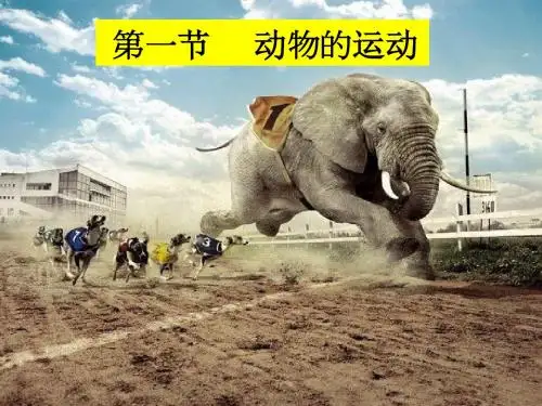 第一节-动物的运动课件2.ppt