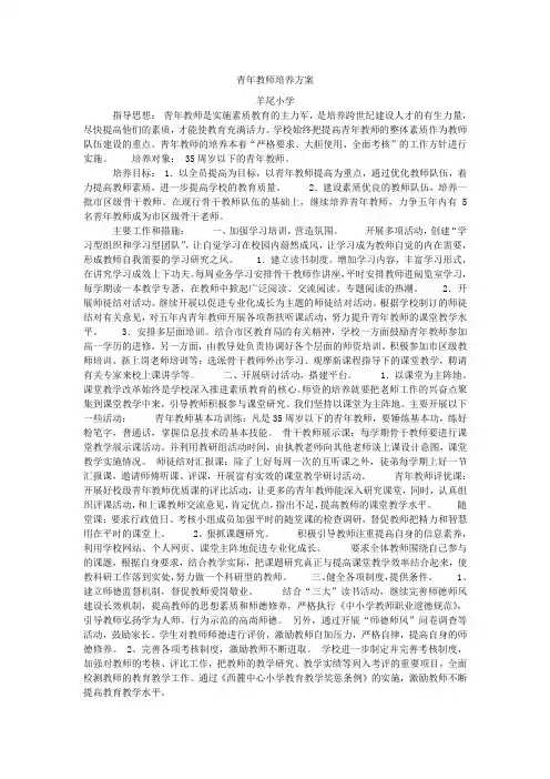 青年教师培养方案