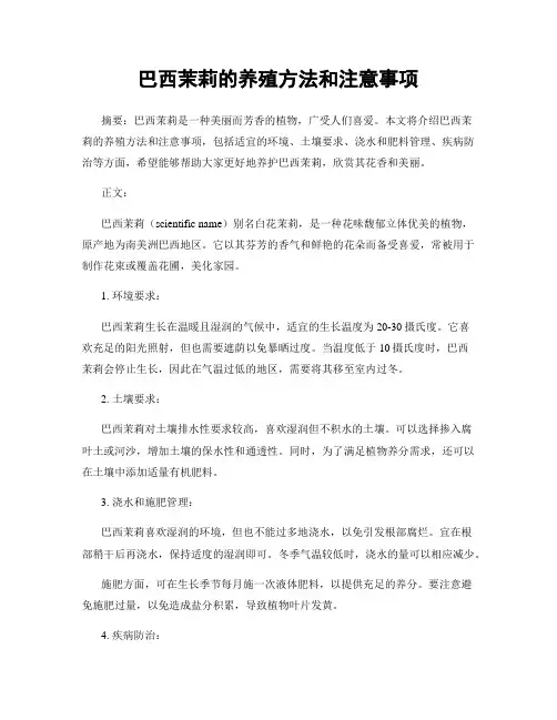 巴西茉莉的养殖方法和注意事项