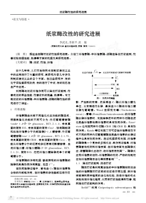 纸浆酶改性的研究进展