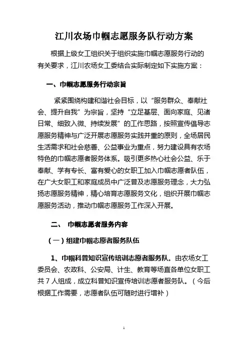 实施巾帼志愿服务行动方案
