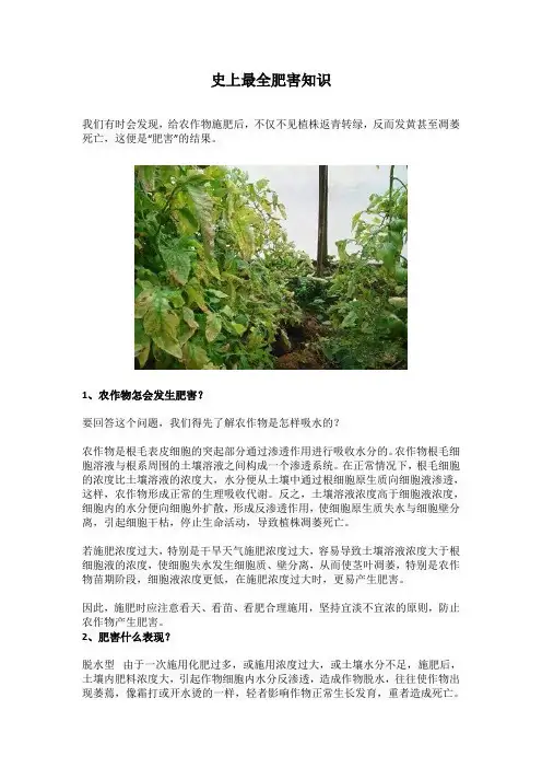 史上最全肥害知识