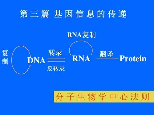 基因信息的传递