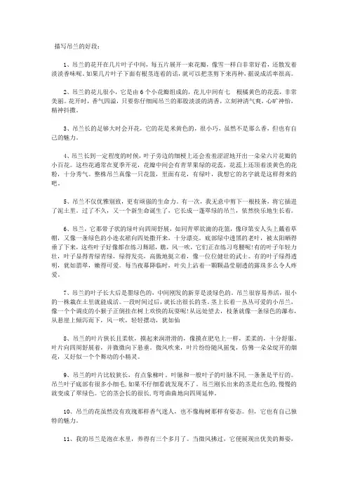 描写吊兰的段落