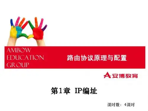 IP 编址
