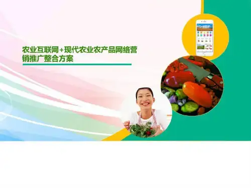 农业互联网 现代农业农产品网络营销推广整合方案_图文_1673817932.ppt
