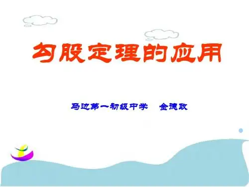 【精品课件】勾股定理的应用