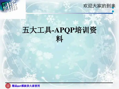 五大工具-APQP培训资料