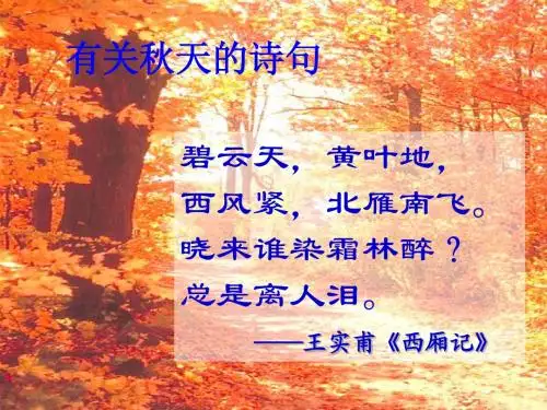 故都的秋