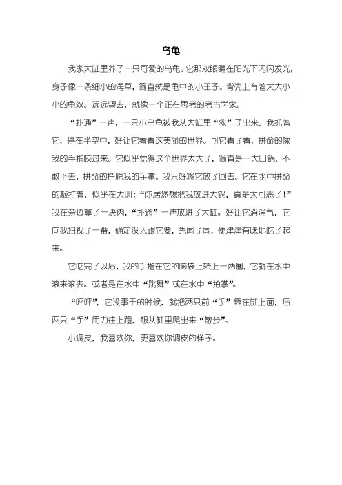 三年级作文：乌龟作文400字_1