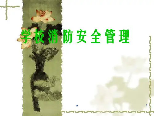 《学校消防安全管理》PPT课件