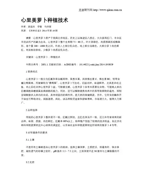 心里美萝卜种植技术