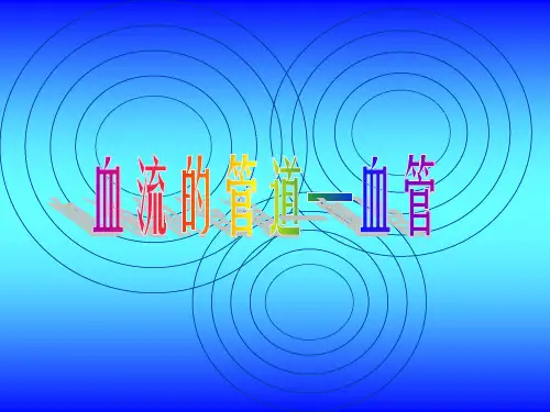 第四章第二节血流的管道血管