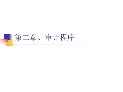 审计程序