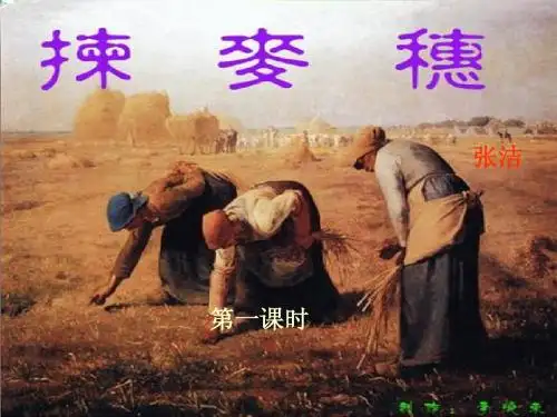 拣麦穗