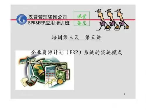 企业资源计划系统的实施模式精品文档