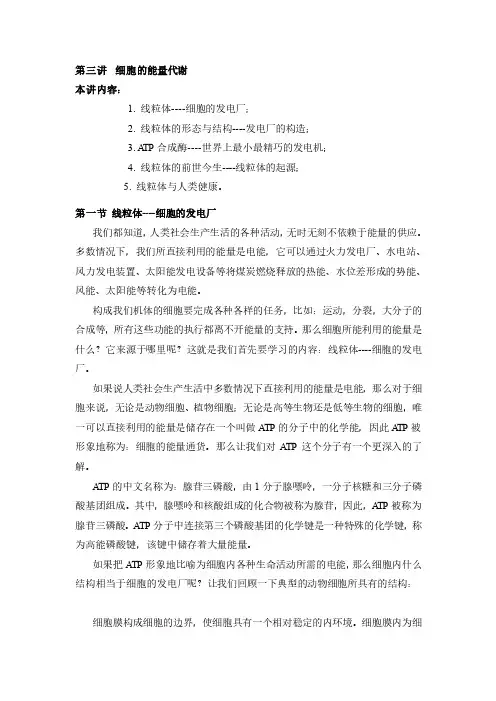 线粒体-讲义