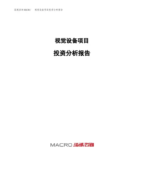视觉设备项目投资分析报告