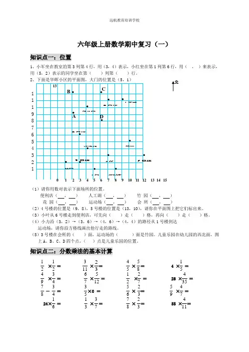 六年级上册数学期中复习(一)