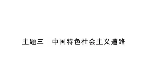 主题3 中国特色社会主义道路