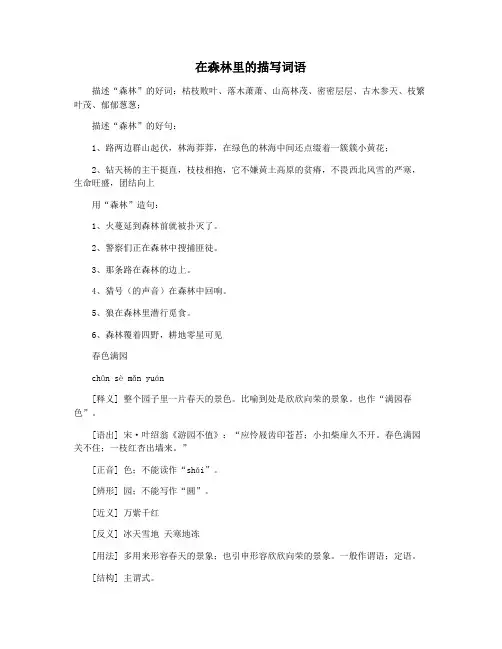 在森林里的描写词语