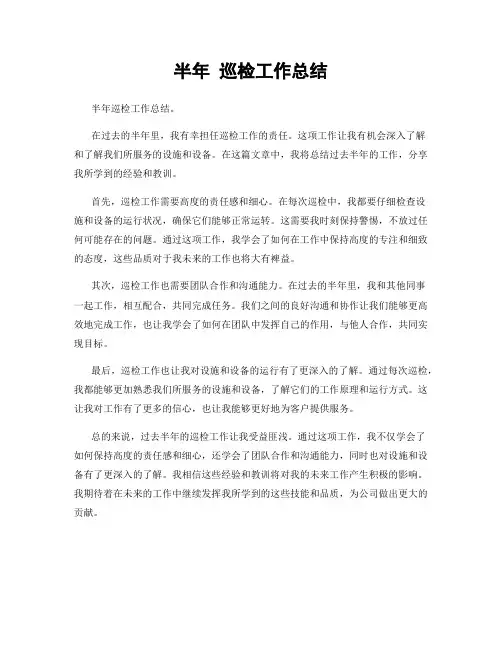 半年 巡检工作总结