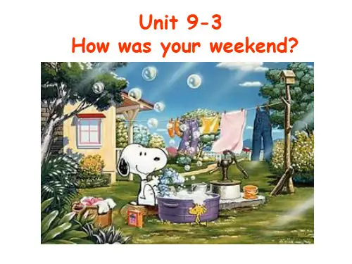 Unit 9(课件11)