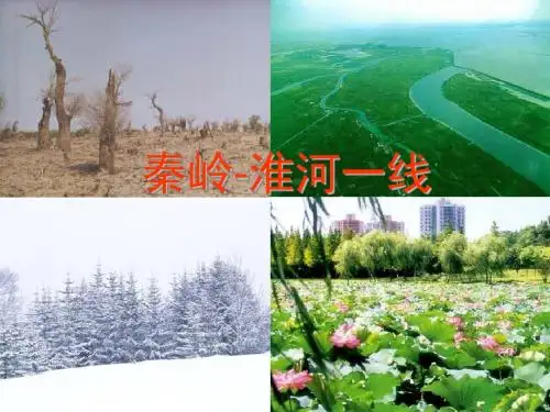 秦岭-淮河