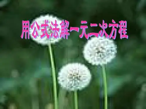 2、2一元二次方程的解法(3)
