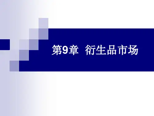 第九章  衍生品市场《金融市场》PPT课件