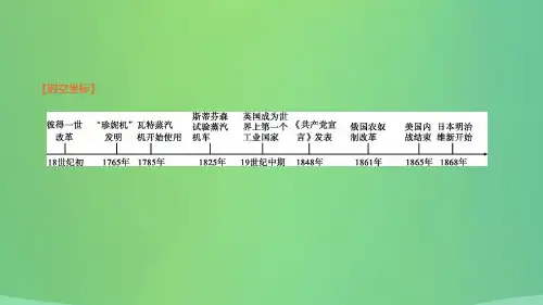 内蒙古包头市2019届中考历史复习世界近现代史第14单元19世纪中期至20世纪初期的世界课件