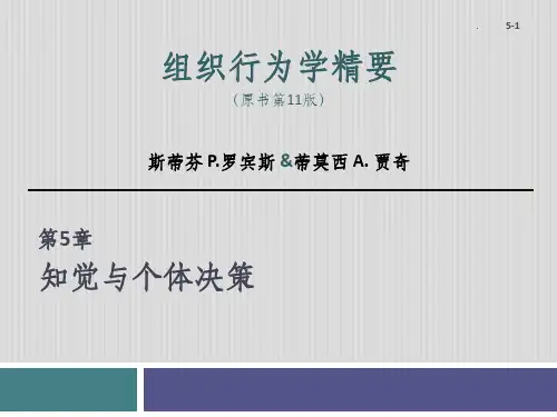 组织行为学——第5章-知觉与个体决策PPT课件