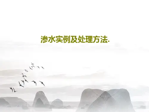 渗水实例及处理方法.共40页文档
