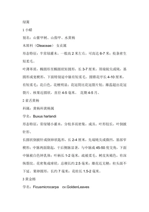 绿篱 ( 31种)
