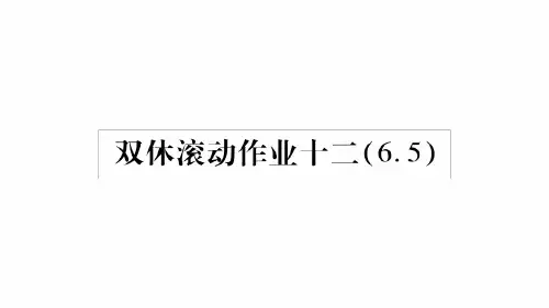 双休滚动作业12