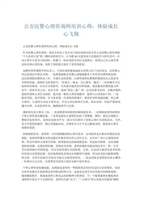 心得体会-公安民警心理咨询师培训心得体验成长心飞翔 精品