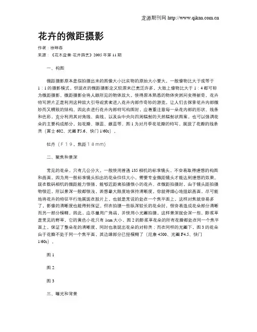 花卉的微距摄影
