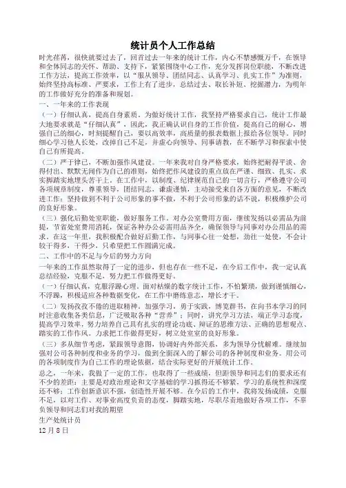 统计员个人工作总结