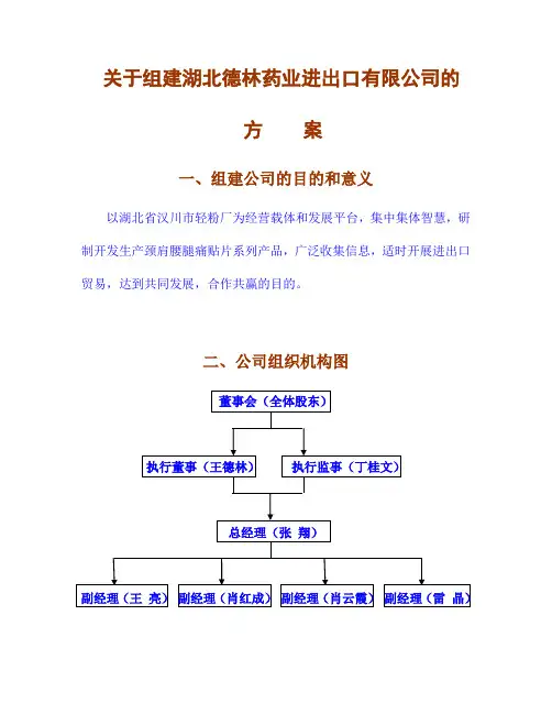 公司组建方案 2
