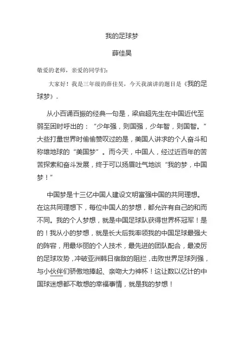 我的足球梦 3
