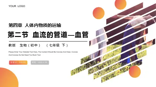 血流的管道—血管课件