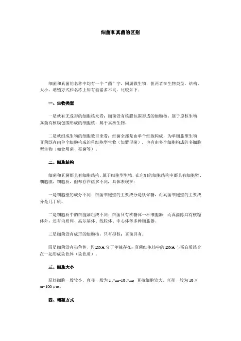 细菌和真菌的区别