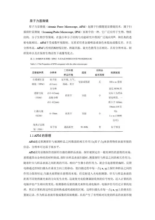 原子力显微镜的原理及应用