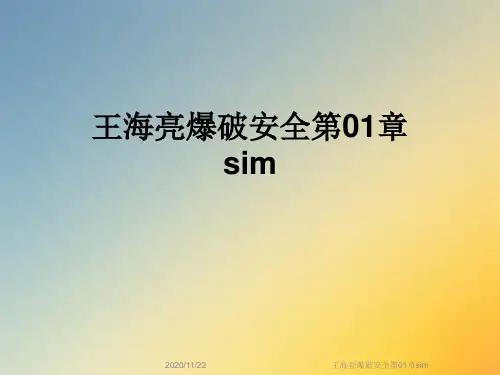 王海亮爆破安全第01章sim