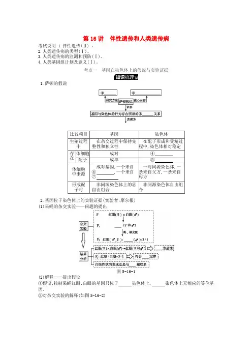 2019版高考生物一轮复习 第5单元 遗传的基本规律和遗传的细胞基础 第16讲 伴性遗传和人类遗
