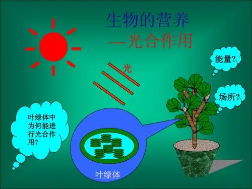 人教版教学课件海伦市第一中学必修一第五章光合作用