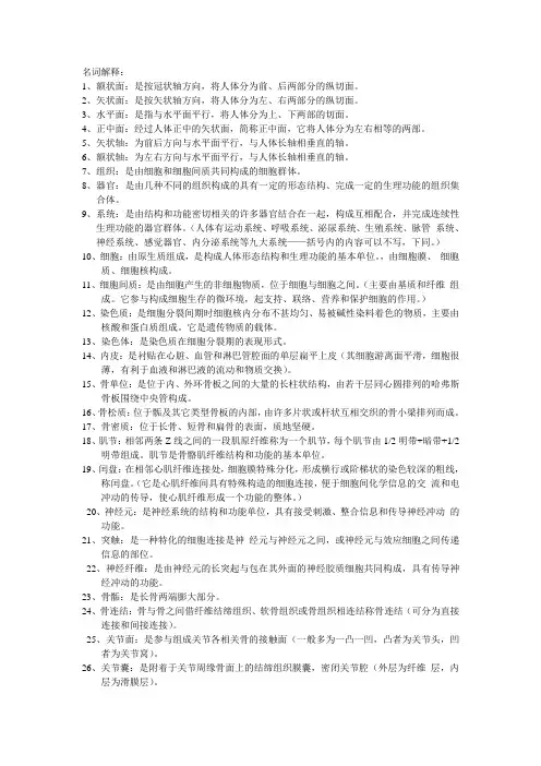 上海体育学院2005年运动解剖学名词解释笔记