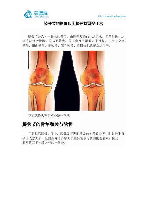 膝关节的构造和全膝关节置换手术